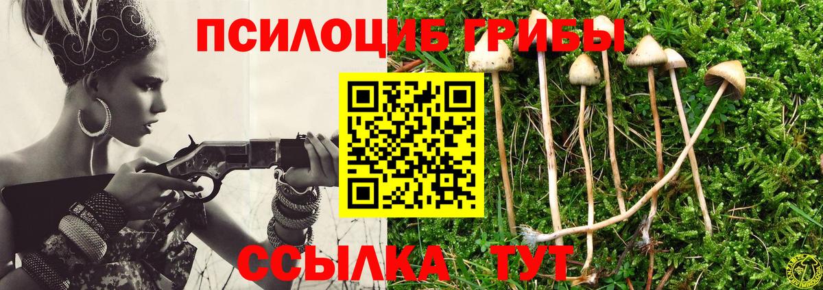 Псилоцибиновые грибы Psilocybine cubensis  Вход с VPN  Владикавказ 